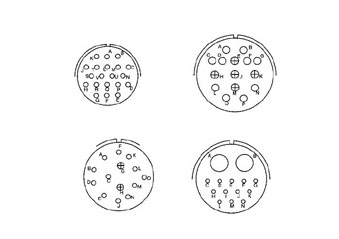 Contant Arrangement